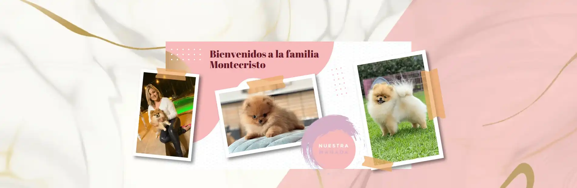 Slide Criadero Montecristo Venta de Cachorros imagen pequeña